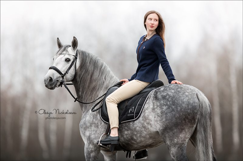  лошади и люди  ◆ horse and human