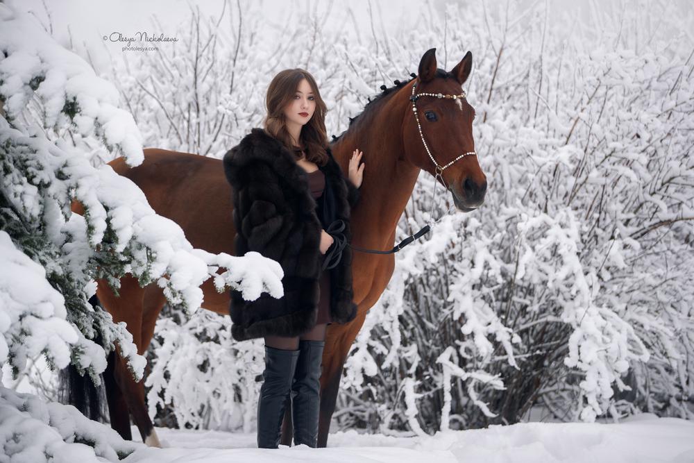  лошади и люди  ◆ horse and human