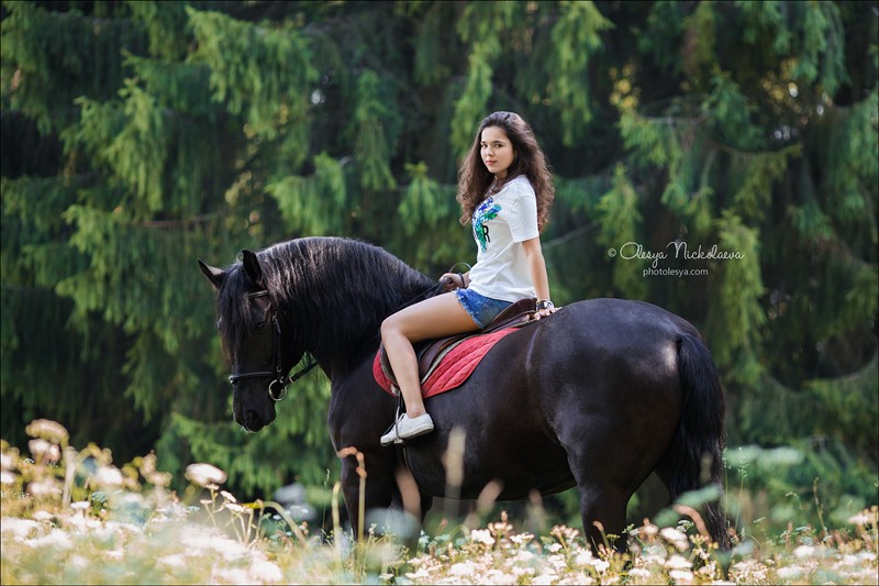  лошади и люди  ◆ horse and human