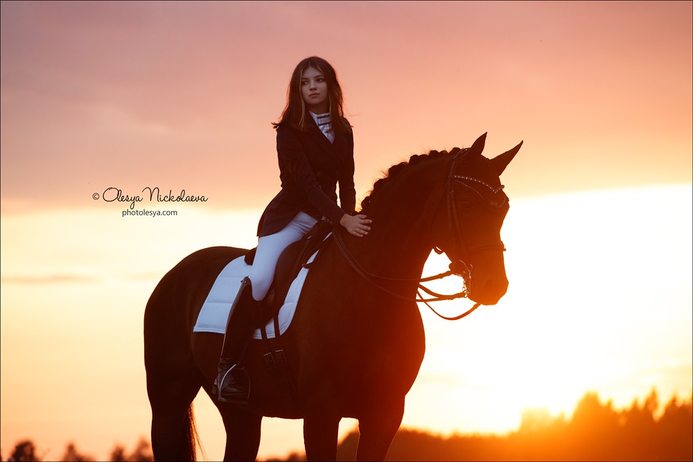  лошади и люди  ◆ horse and human