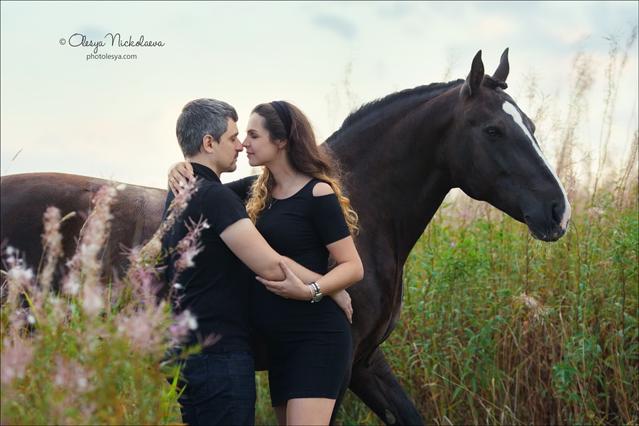  лошади и люди  ◆ horse and human