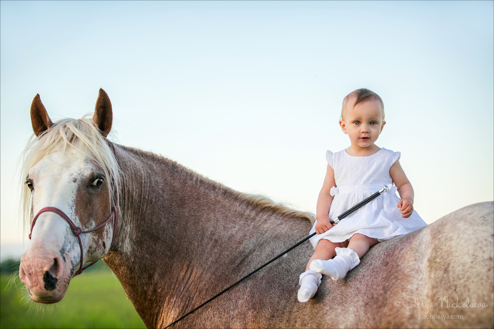  лошади и люди  ◆ horse and human