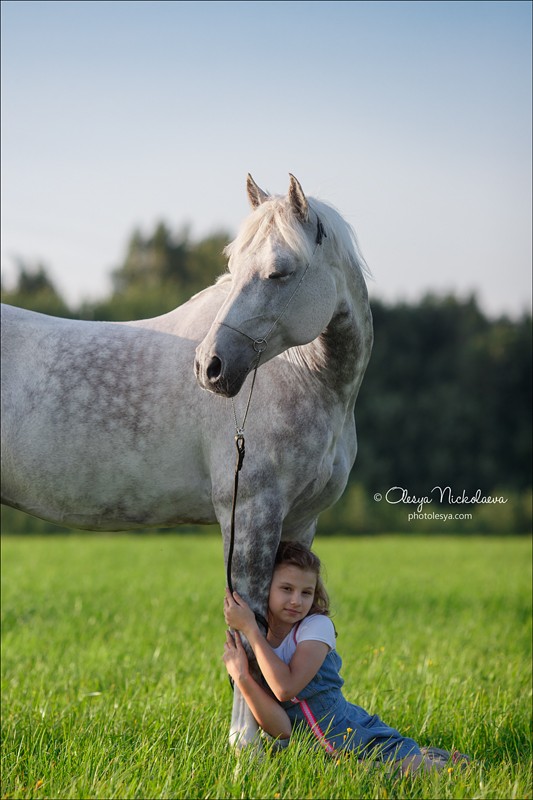  лошади и люди  ◆ horse and human