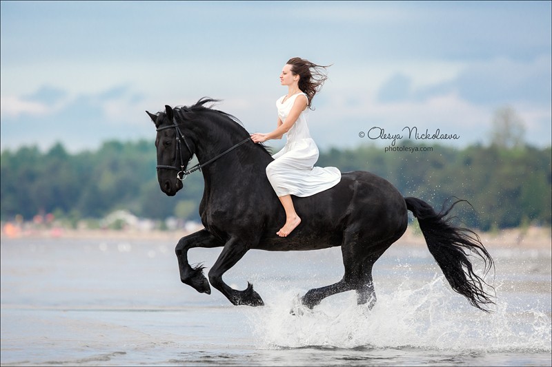  лошади и люди  ◆ horse and human