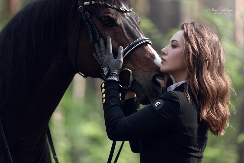  лошади и люди  ◆ horse and human