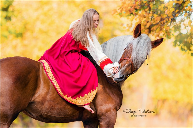  лошади и люди  ◆ horse and human