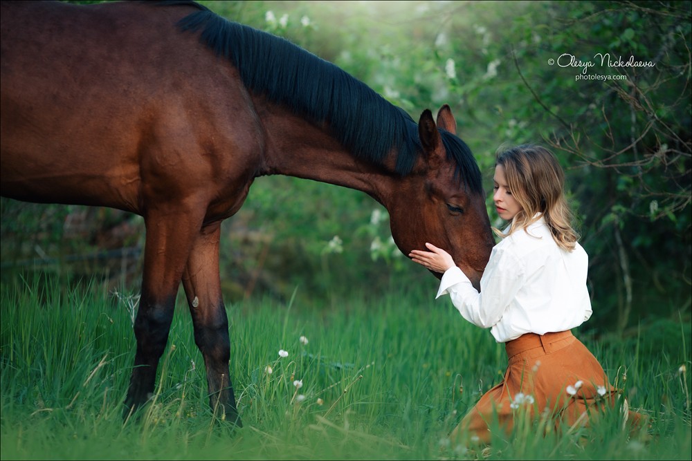  лошади и люди  ◆ horse and human