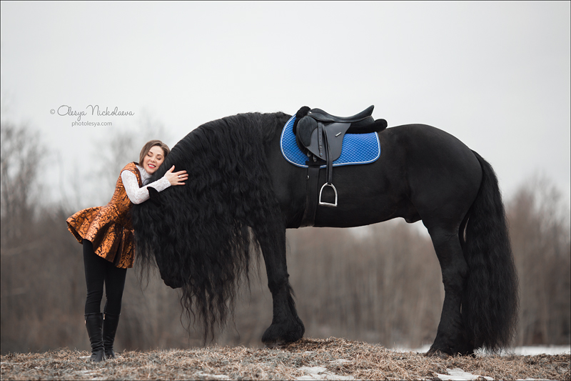  лошади и люди  ◆ horse and human