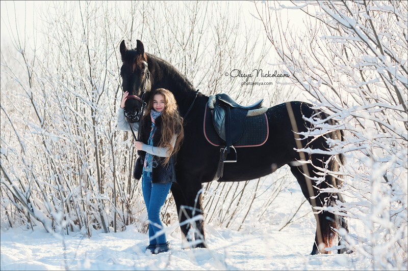  лошади и люди  ◆ horse and human