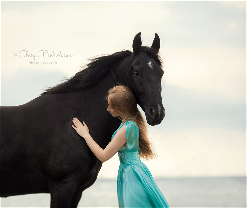  лошади и люди  ◆ horse and human