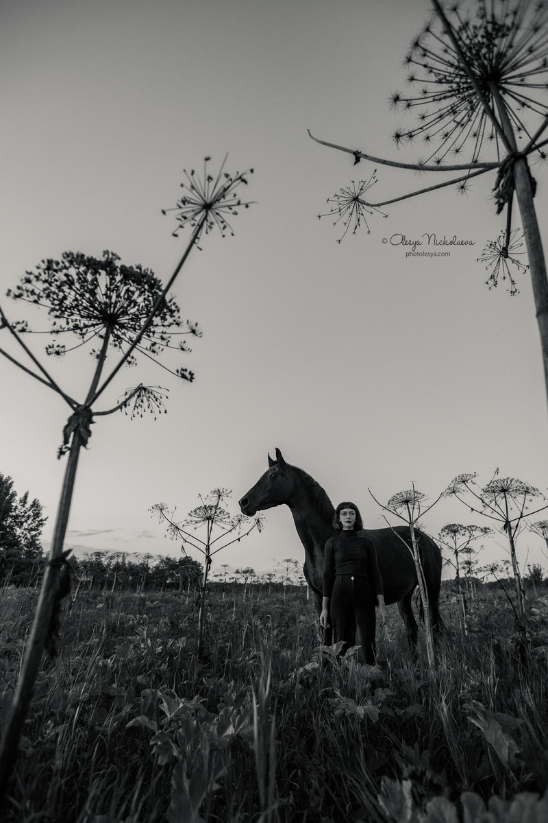  лошади и люди  ◆ horse and human
