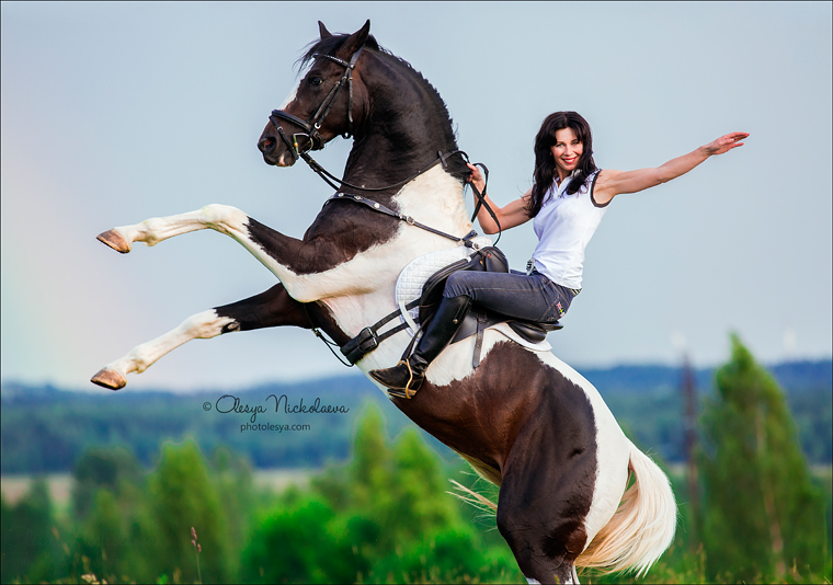  лошади и люди  ◆ horse and human