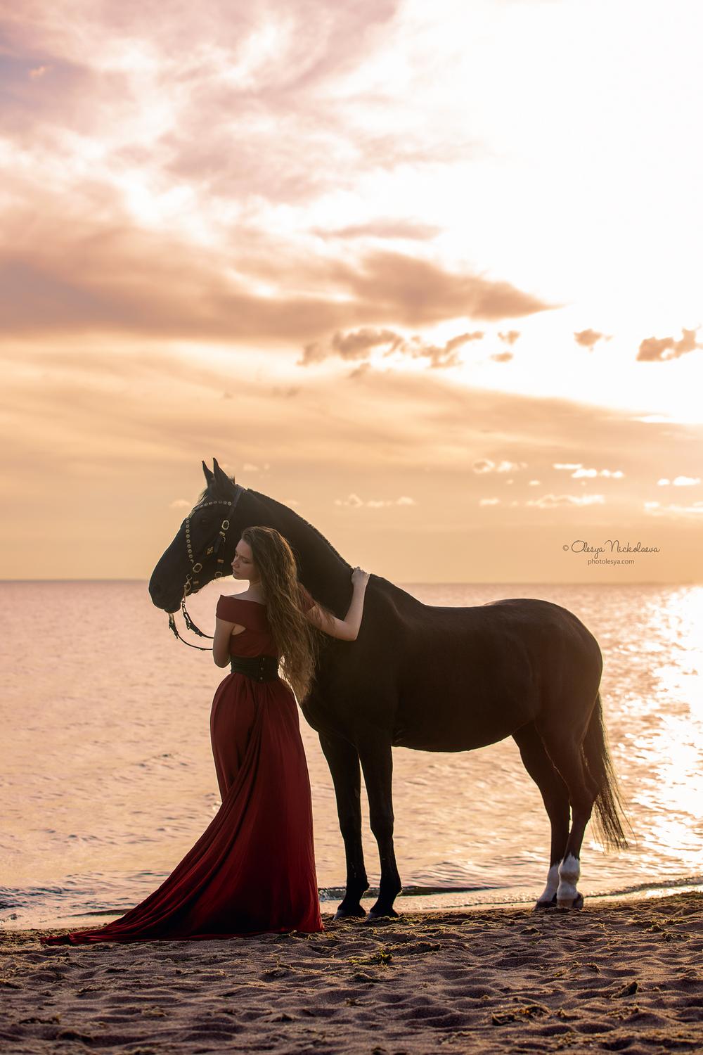  лошади и люди  ◆ horse and human