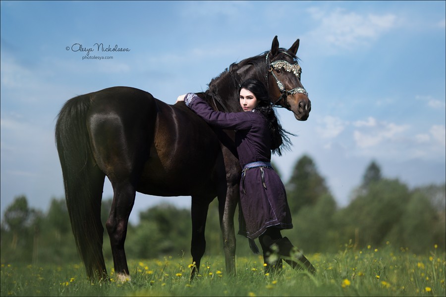  лошади и люди  ◆ horse and human