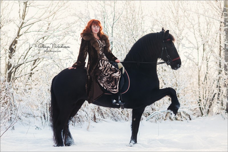  лошади и люди  ◆ horse and human
