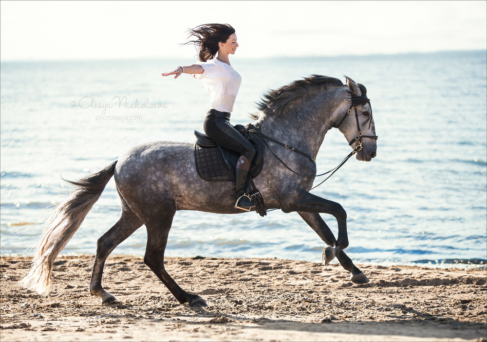  лошади и люди  ◆ horse and human