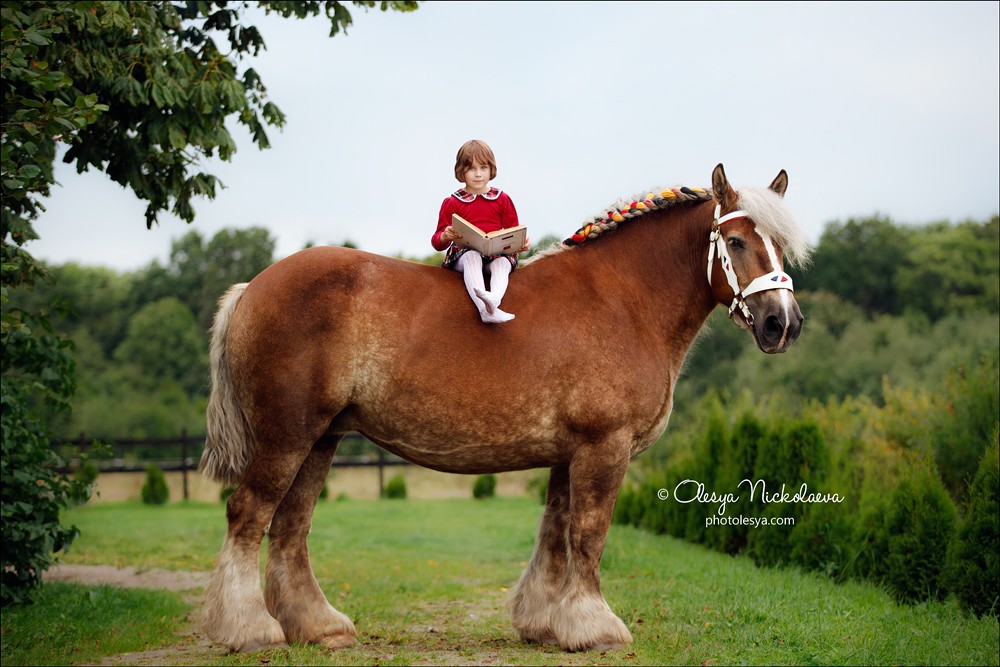  лошади и люди  ◆ horse and human