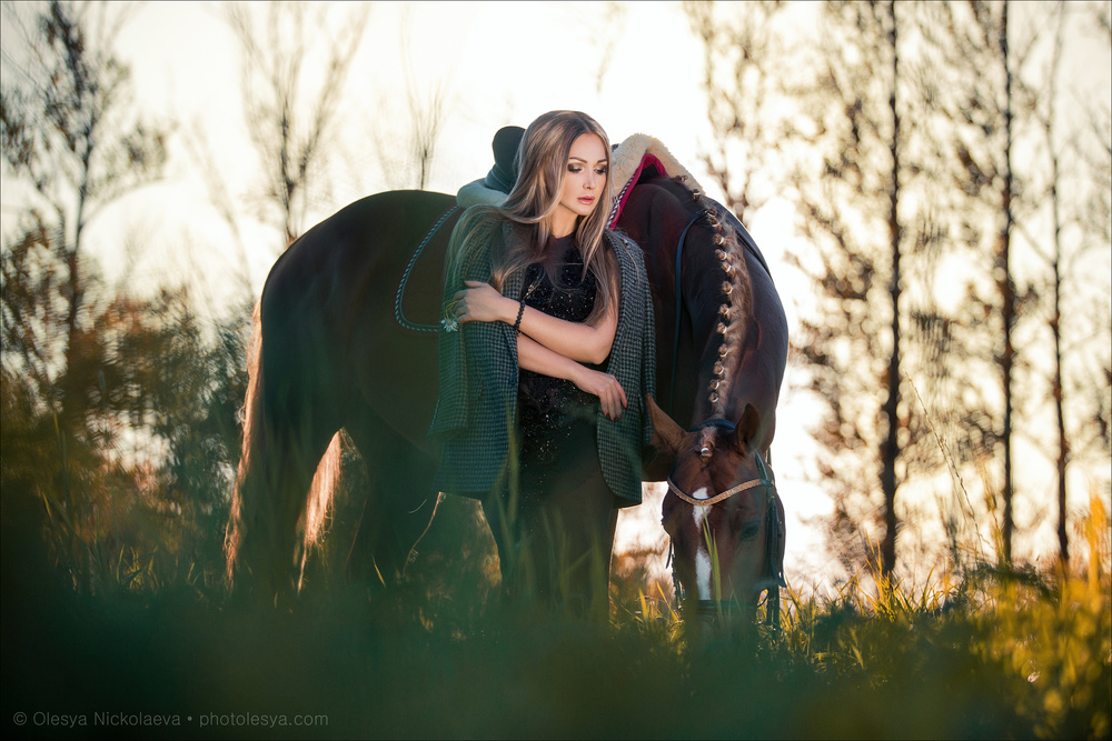 лошади и люди  ◆ horse and human