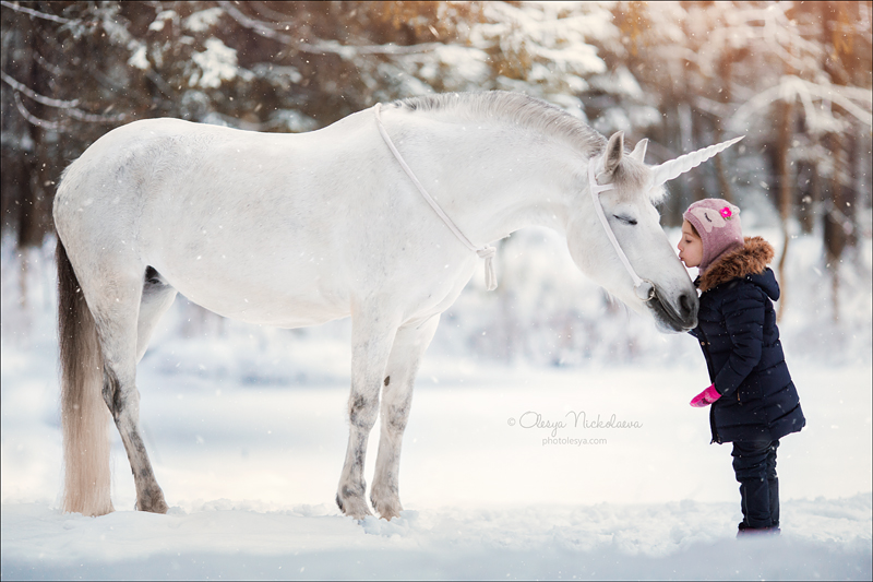  лошади и люди  ◆ horse and human