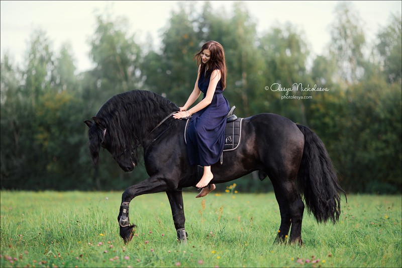  лошади и люди  ◆ horse and human