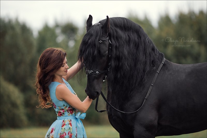  лошади и люди  ◆ horse and human
