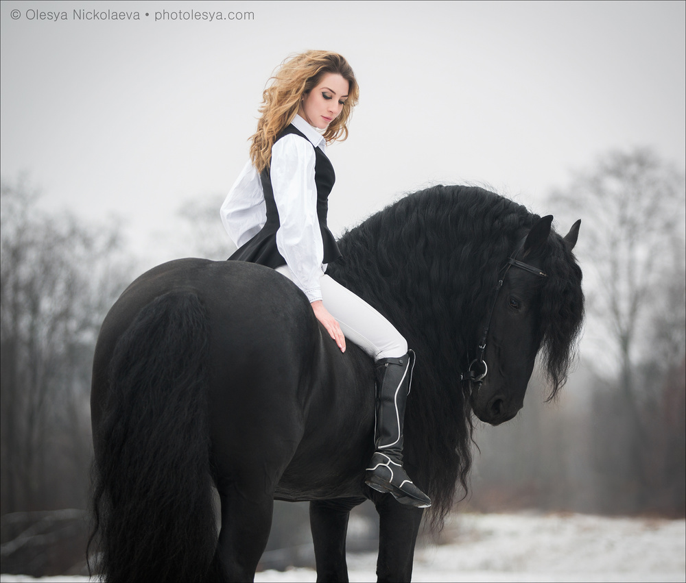  лошади и люди  ◆ horse and human