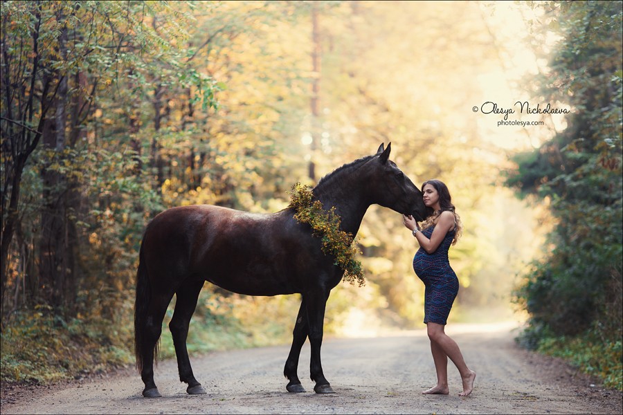  лошади и люди  ◆ horse and human