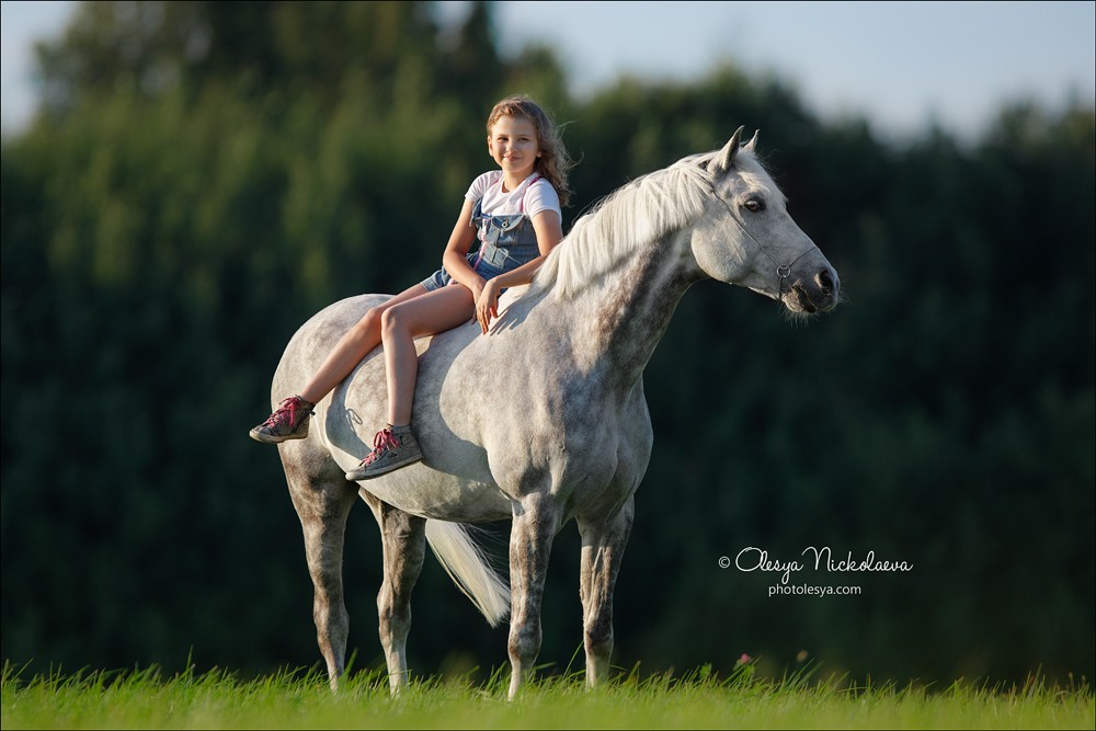  лошади и люди  ◆ horse and human