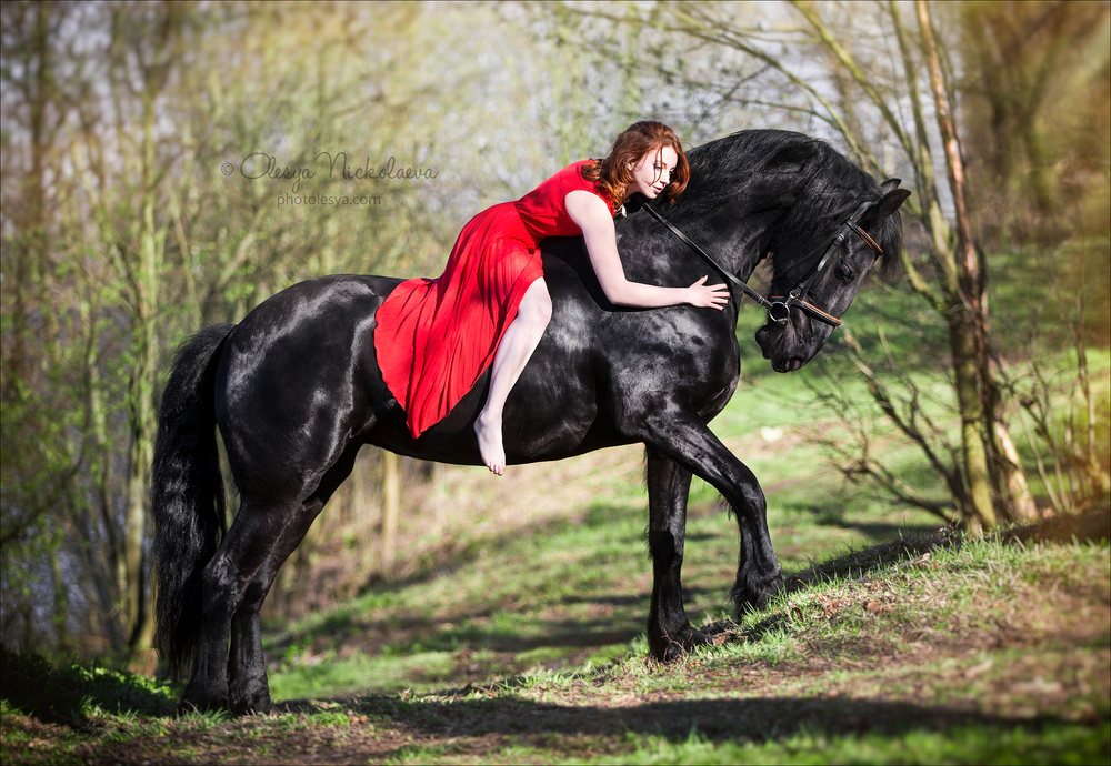  лошади и люди  ◆ horse and human