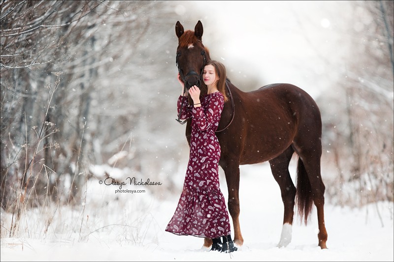  лошади и люди  ◆ horse and human