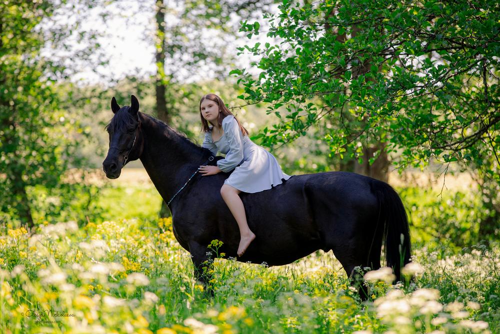  лошади и люди  ◆ horse and human