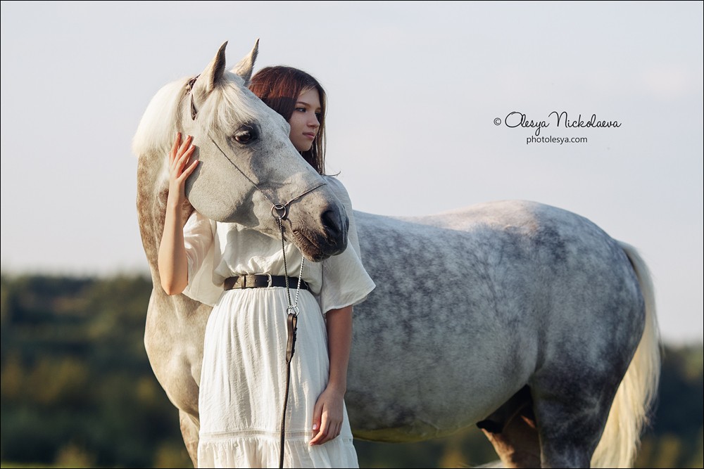  лошади и люди  ◆ horse and human