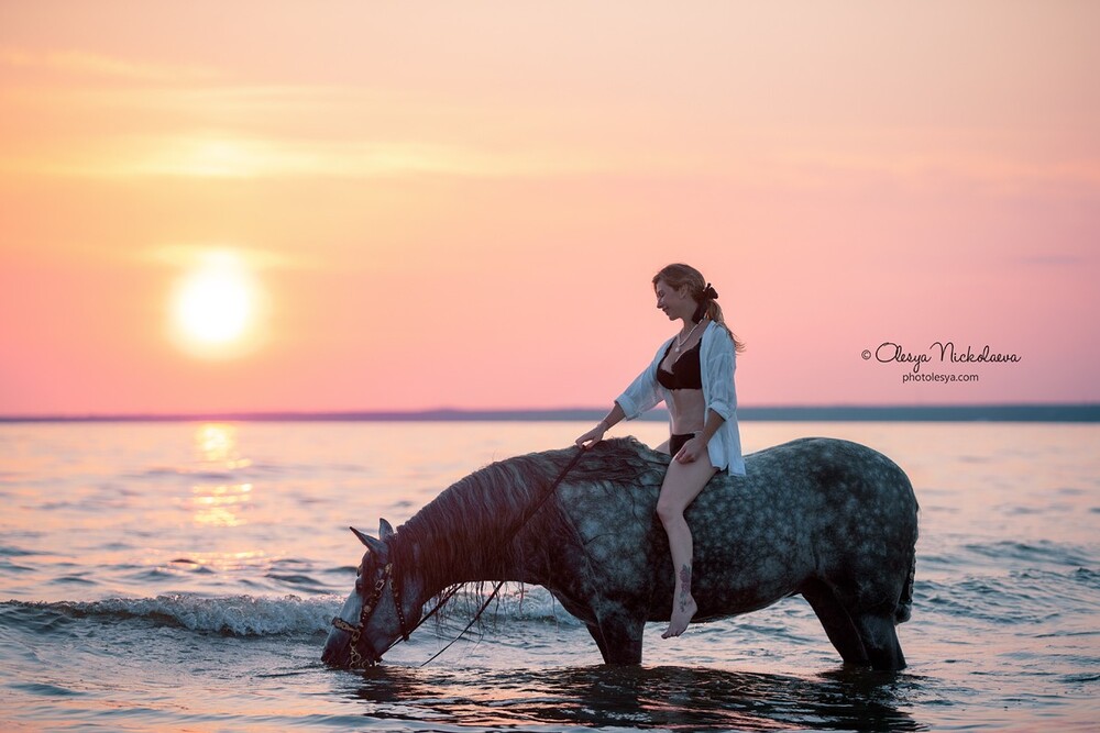  лошади и люди  ◆ horse and human