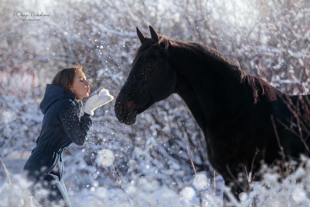  лошади и люди  ◆ horse and human