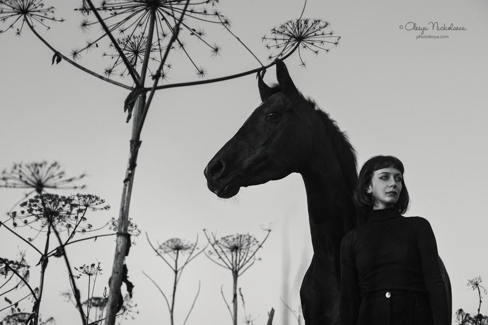  лошади и люди  ◆ horse and human