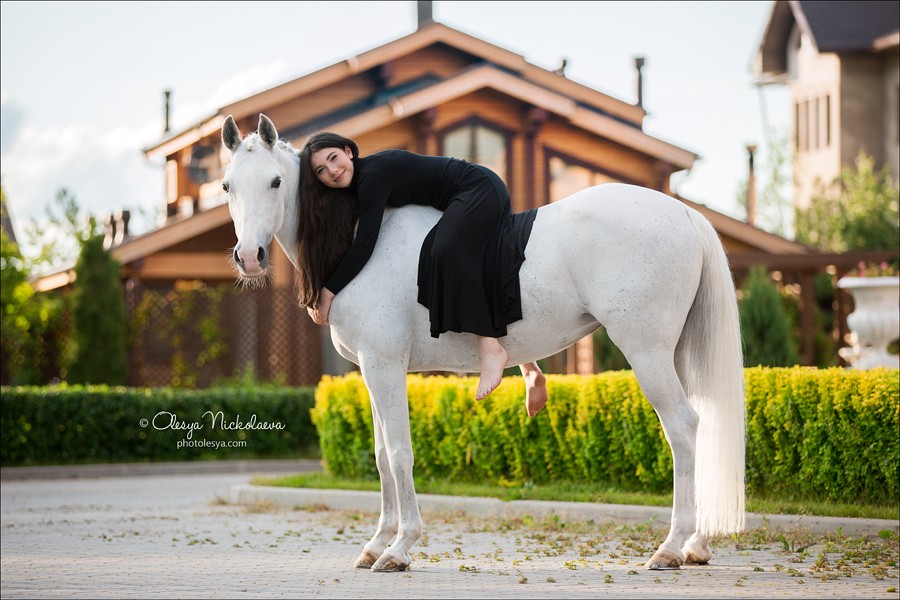  лошади и люди  ◆ horse and human
