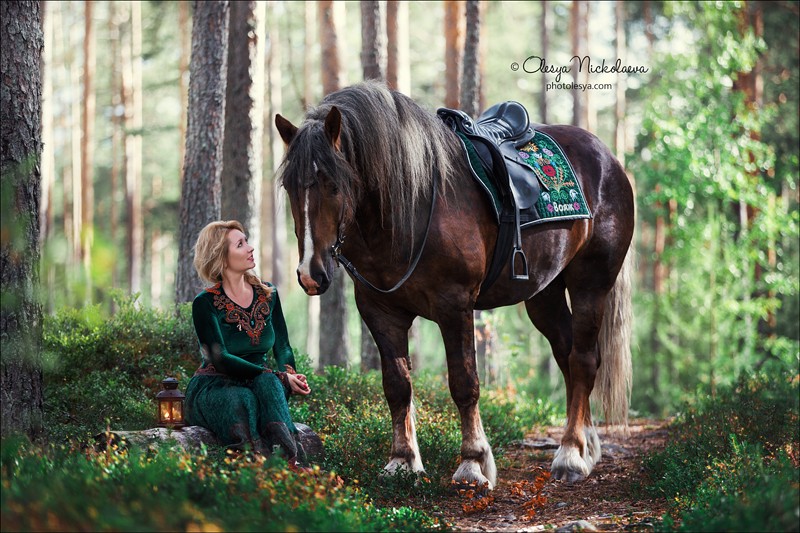  лошади и люди  ◆ horse and human