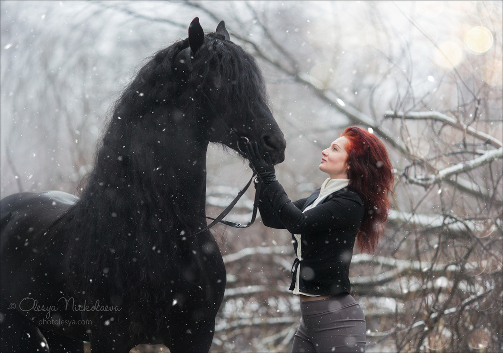  лошади и люди  ◆ horse and human