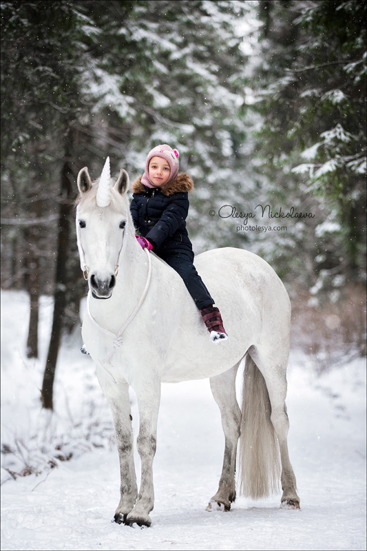  лошади и люди  ◆ horse and human