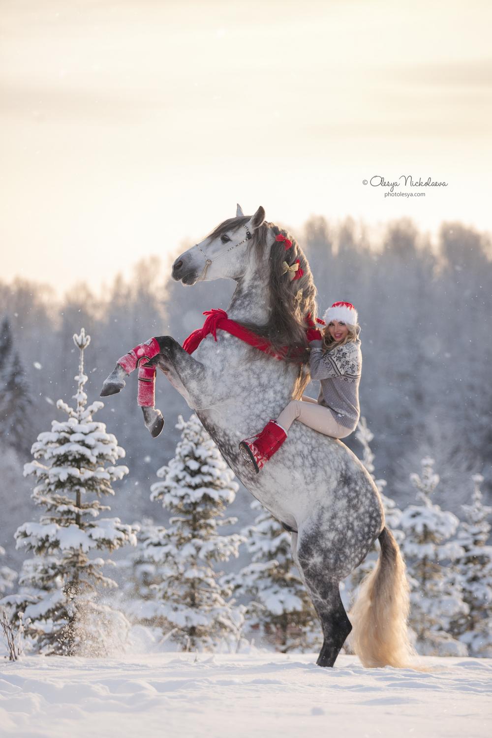  лошади и люди  ◆ horse and human
