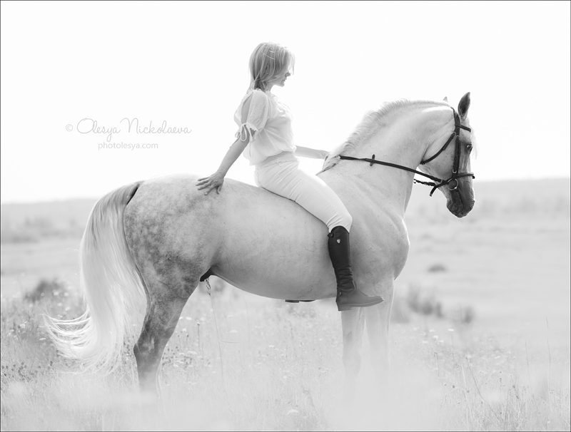  лошади и люди  ◆ horse and human