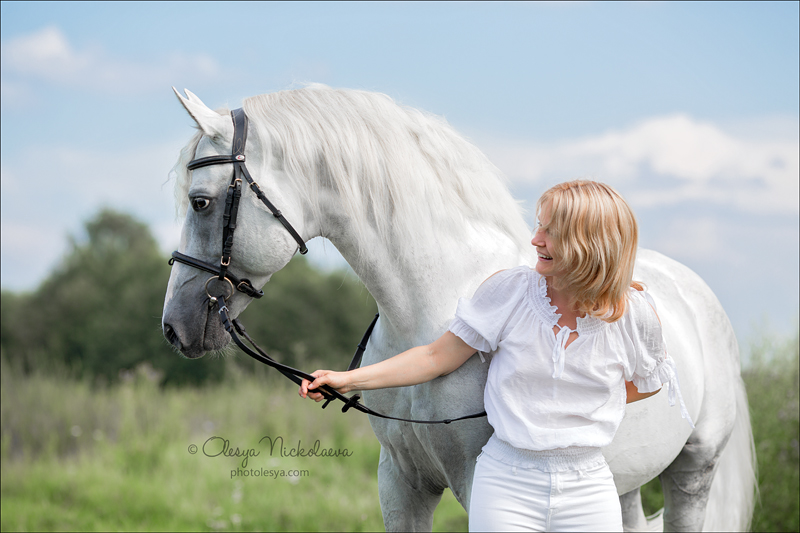  лошади и люди  ◆ horse and human