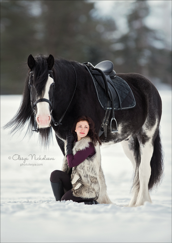  лошади и люди  ◆ horse and human