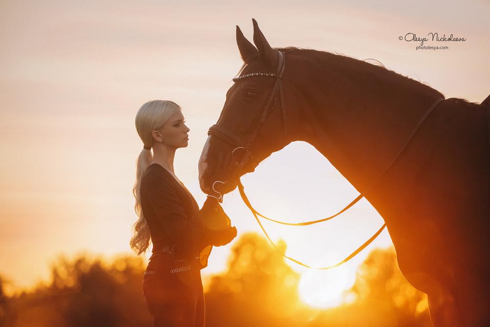  лошади и люди  ◆ horse and human