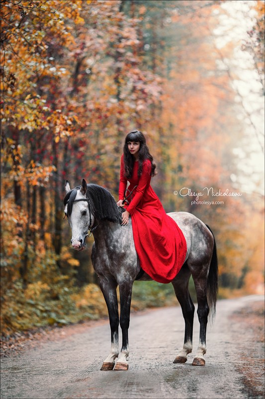 лошади и люди  ◆ horse and human