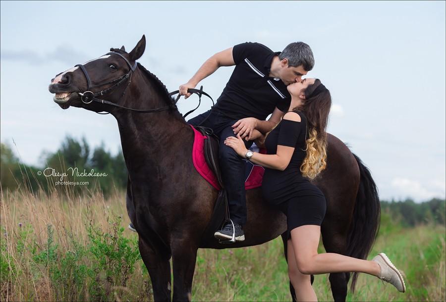  лошади и люди  ◆ horse and human