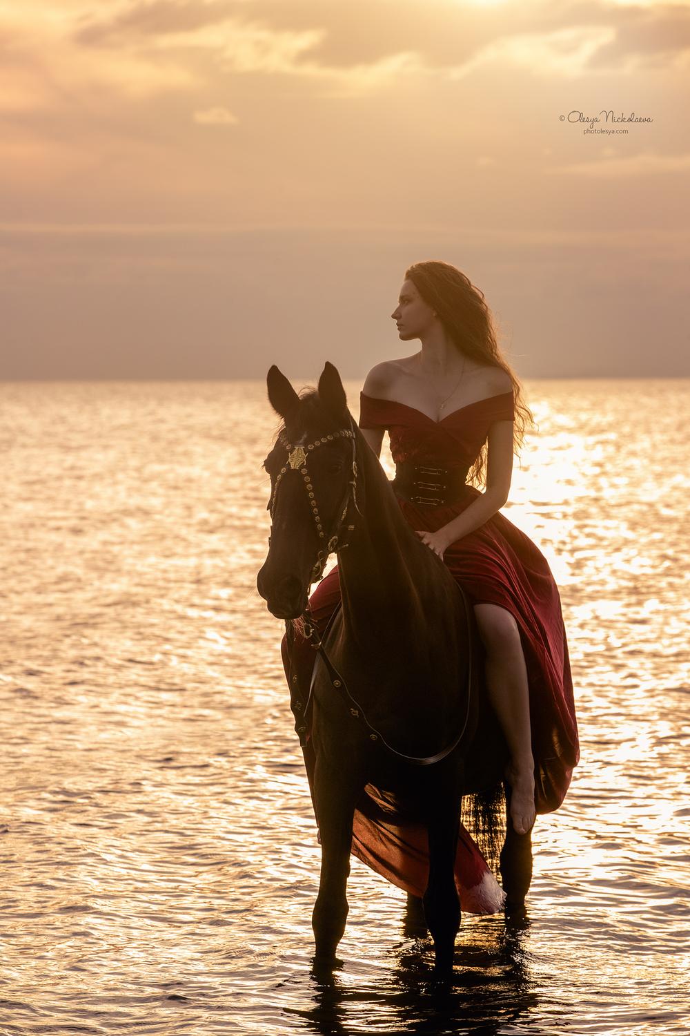  лошади и люди  ◆ horse and human