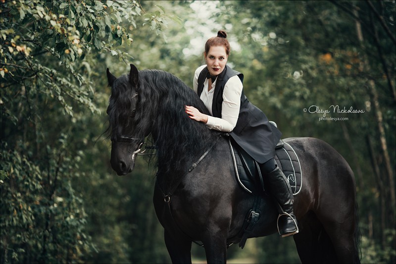 лошади и люди  ◆ horse and human