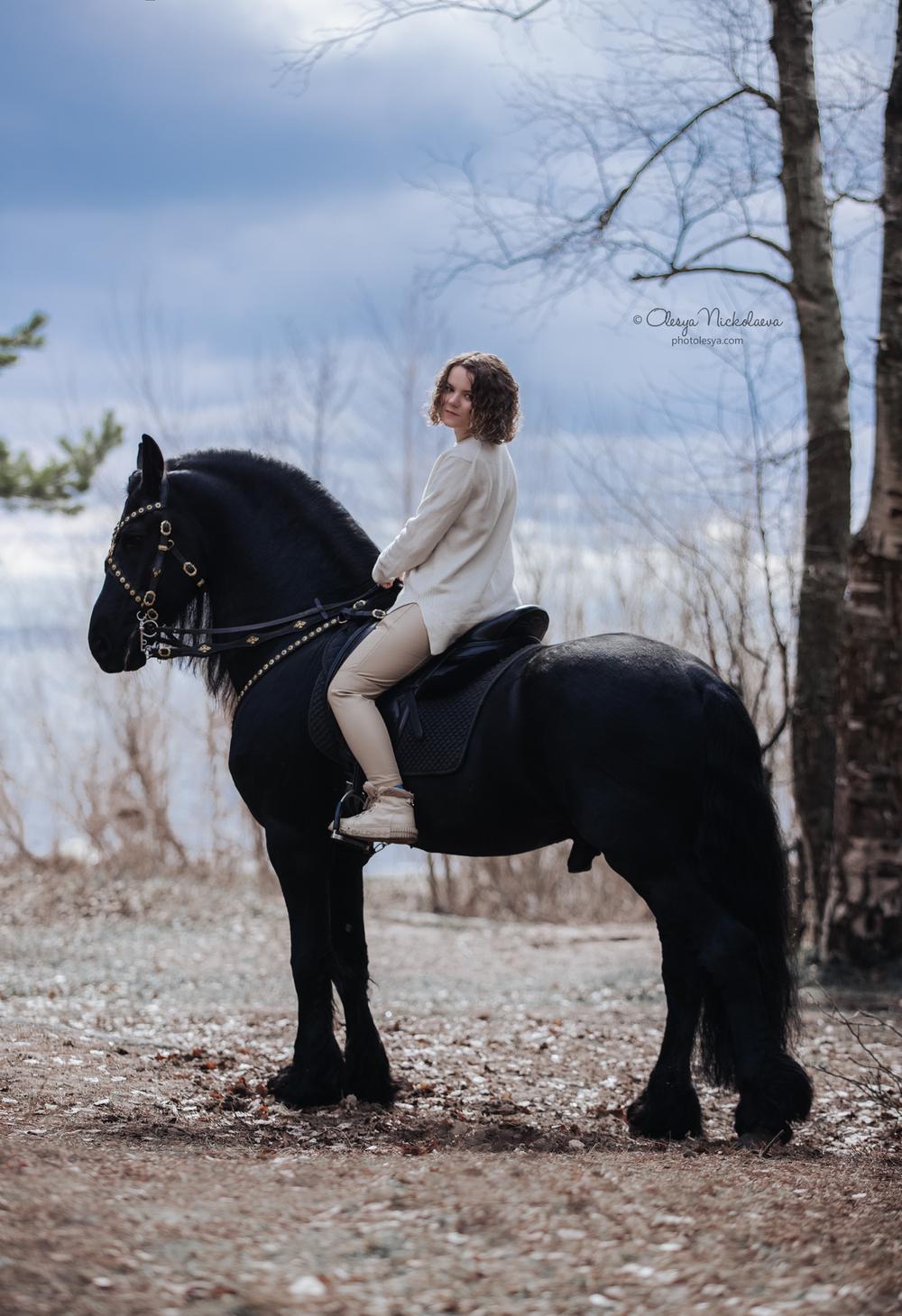  лошади и люди  ◆ horse and human