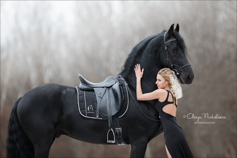  лошади и люди  ◆ horse and human